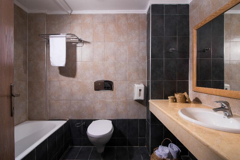 غرفة قياسية مطلّة علي حمام السباحة, Alexandros Palace