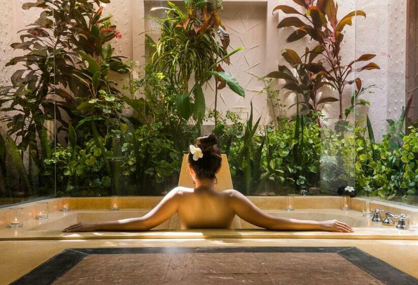 单卧高级别墅, Barali Beach Resort & Spa