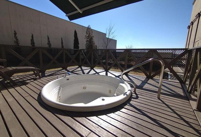 غرفة ديلوكس, Mito Plaza