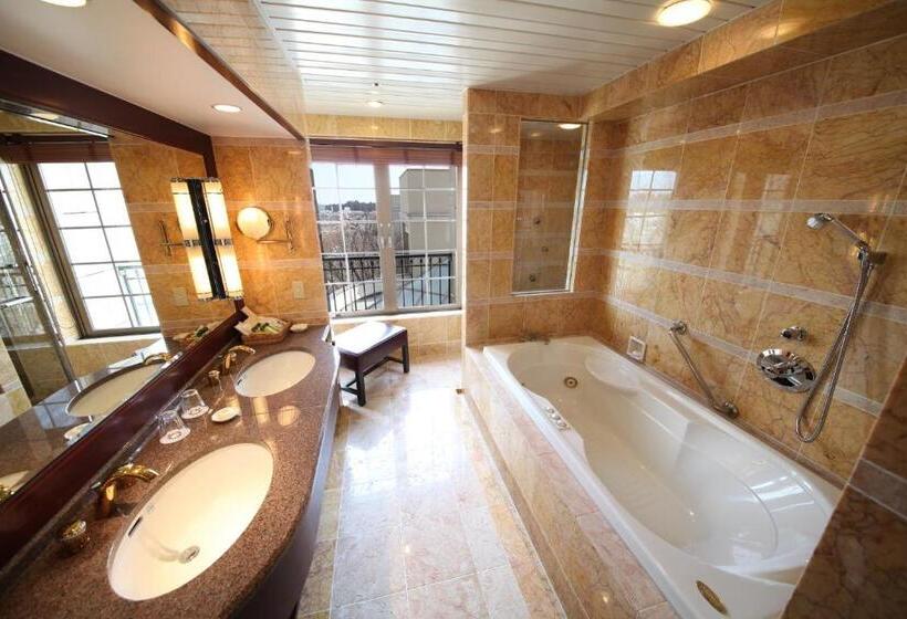 جناح مزود بجاكوزى, Mito Plaza