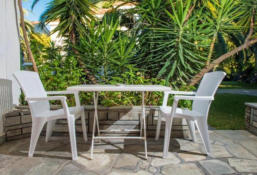 Номер Стандарт Вид на Сад, Pilalidis