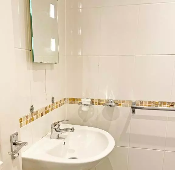 اتاق استاندارد یک نفره, The President