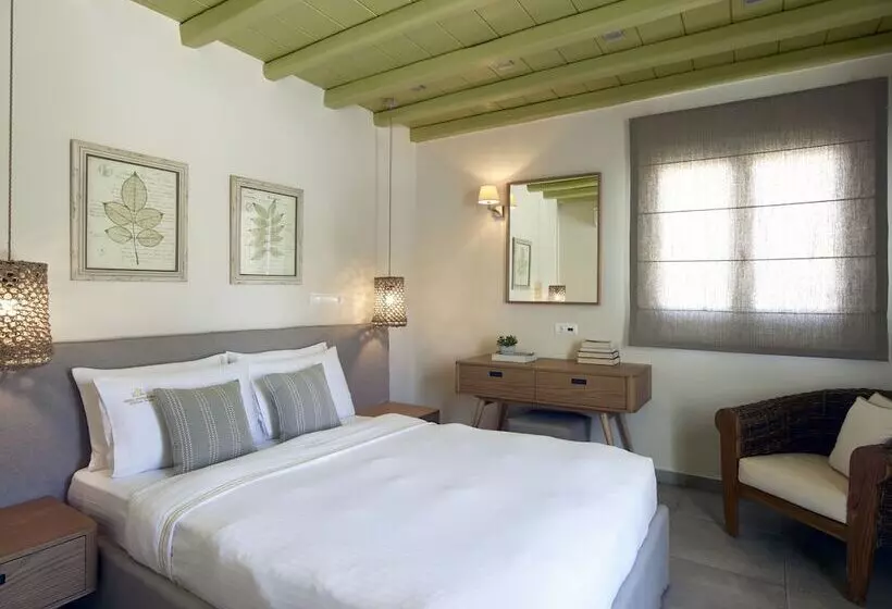 اتاق استاندارد با چشمانداز باغ, Vencia Boutique