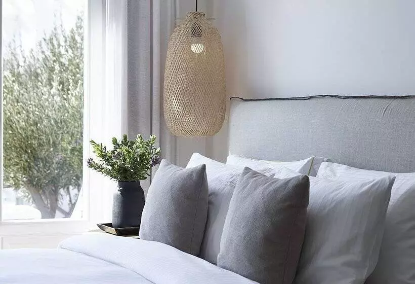 سوییت با چشمانداز باغ, Vencia Boutique