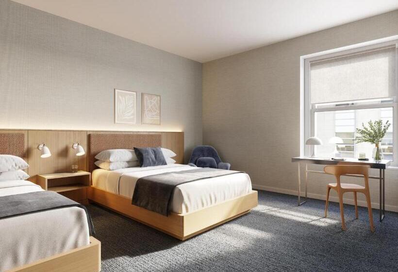 غرفة ديلوكس, Aka Back Bay