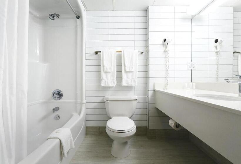 חדר דחוקס עם מיטת קינג, Canad Inns Destination Centre Club Regent Casino