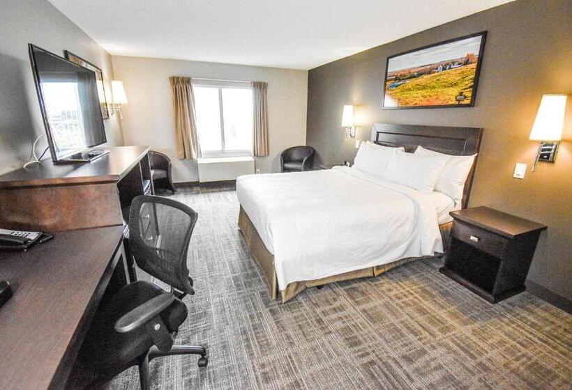 身障者適用スタンダードルーム, Canad Inns Destination Centre Club Regent Casino