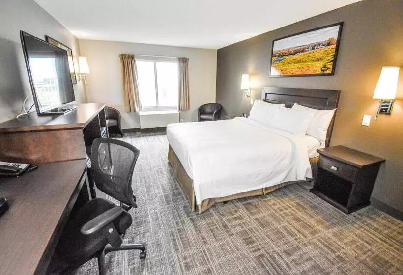 اتاق استاندارد برای معلولان, Canad Inns Destination Centre Club Regent Casino
