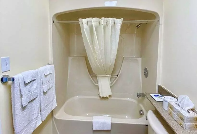 Standard-huone 2 Parivuodetta, Colonial House Motor Inn