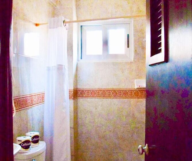 Deluxe Szoba, Delfin