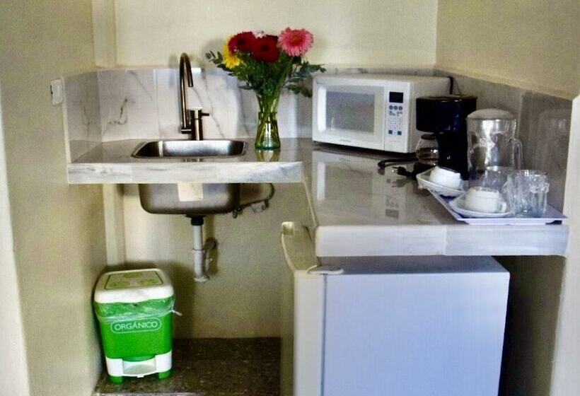 Családi Szoba, Delfin