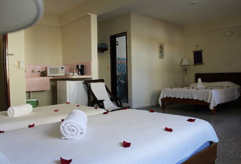 Családi Szoba, Delfin