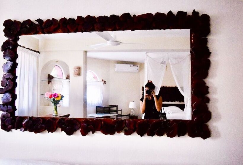 Standard Stúdió Szoba, Delfin