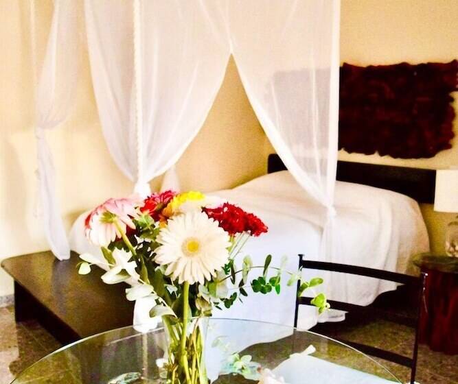 Standard Stúdió Szoba, Delfin