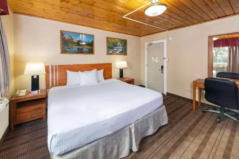اتاق استاندارد با تخت بزرگ, Econo Lodge Inn & Suites