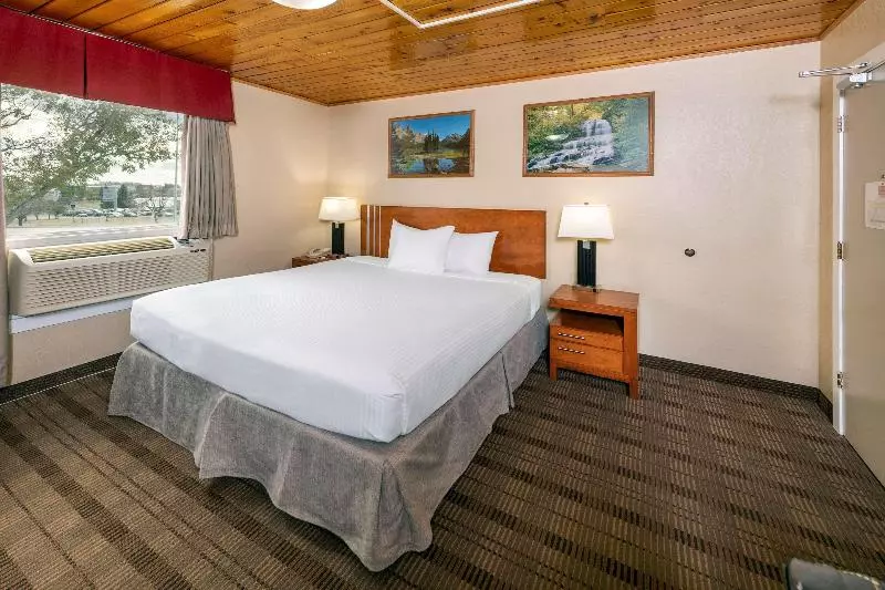 اتاق استاندارد با تخت بزرگ, Econo Lodge Inn & Suites