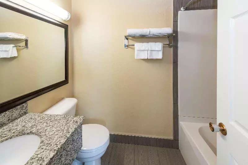 اتاق استاندارد با تخت بزرگ, Econo Lodge Inn & Suites