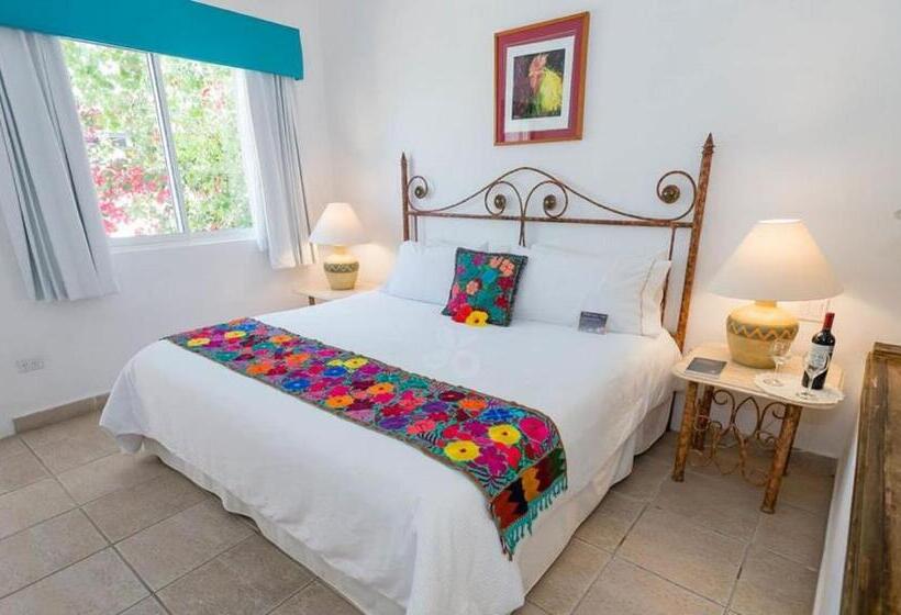 סוויטת ג'וניור מיטת קינג, El Encanto Inn & Suites