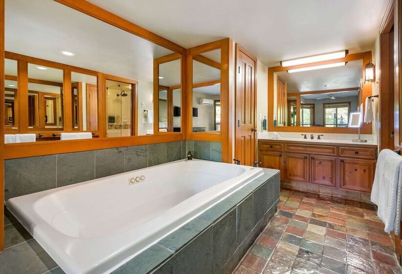 １ベッドルームアパートメント, Hilton Grand Vacations Club Whistler