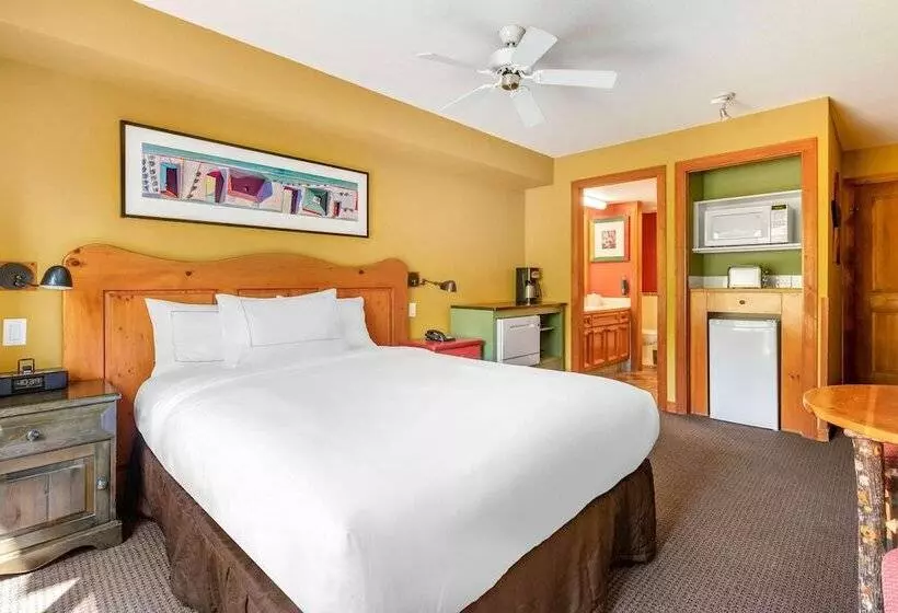 スタンダードスタジオ, Hilton Grand Vacations Club Whistler