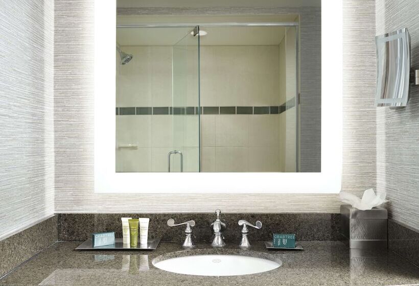 غرفة قياسية سرير مزدوج مطلة على البحر, Hilton Virginia Beach Oceanfront