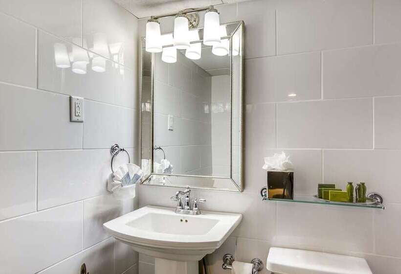 غرفة قياسية سرير كينج, Hilton Virginia Beach Oceanfront