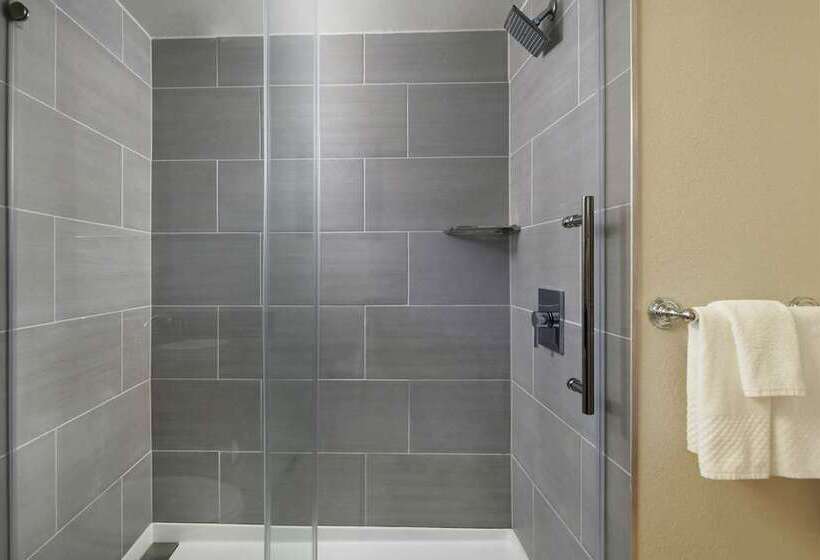 غرفة قياسية سرير كينج, Hilton Virginia Beach Oceanfront