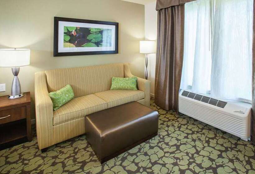 غرفة قياسية سرير كينج, Hilton Virginia Beach Oceanfront