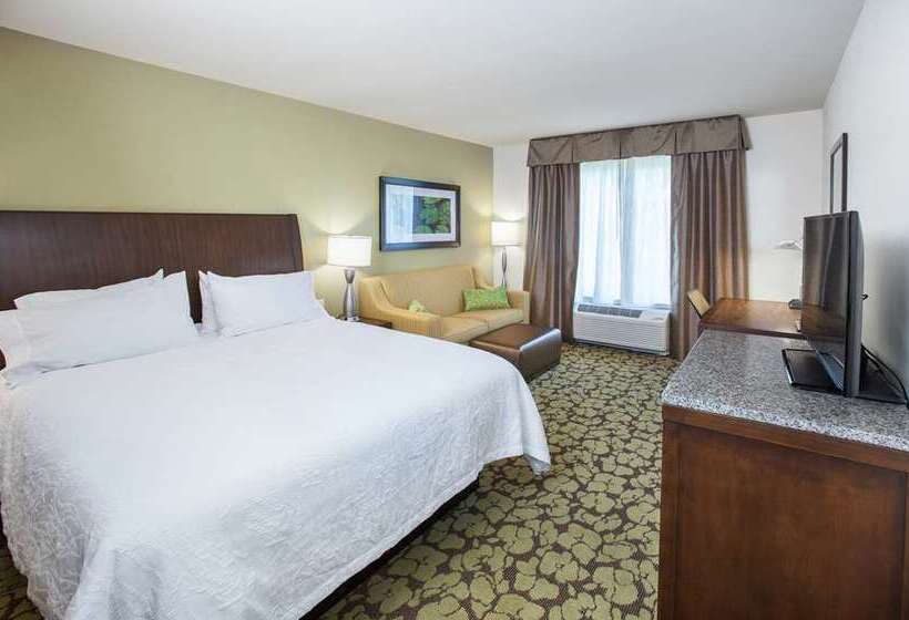 غرفة قياسية سرير كينج, Hilton Virginia Beach Oceanfront
