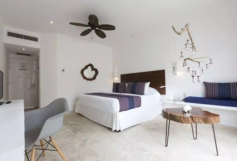 スタンダードシティビュールーム, Hm Playa del Carmen