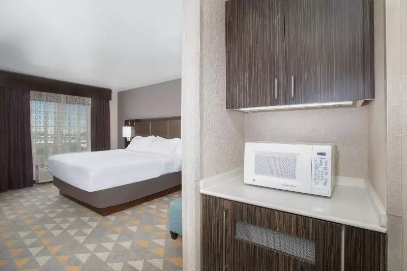 اتاق استاندارد با تخت بزرگ برای معلولان, Holiday Inn Colorado Springs   Airport, An Ihg