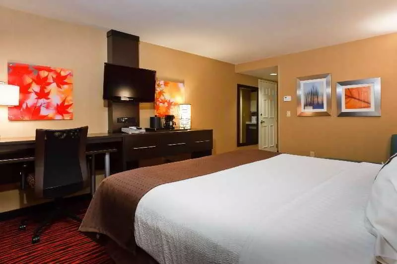 اتاق استاندارد, Holiday Inn Colorado Springs   Airport, An Ihg