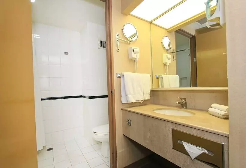 اتاق استاندارد با 2 تخت دوبل, Holiday Inn Leon Convention Center, An Ihg