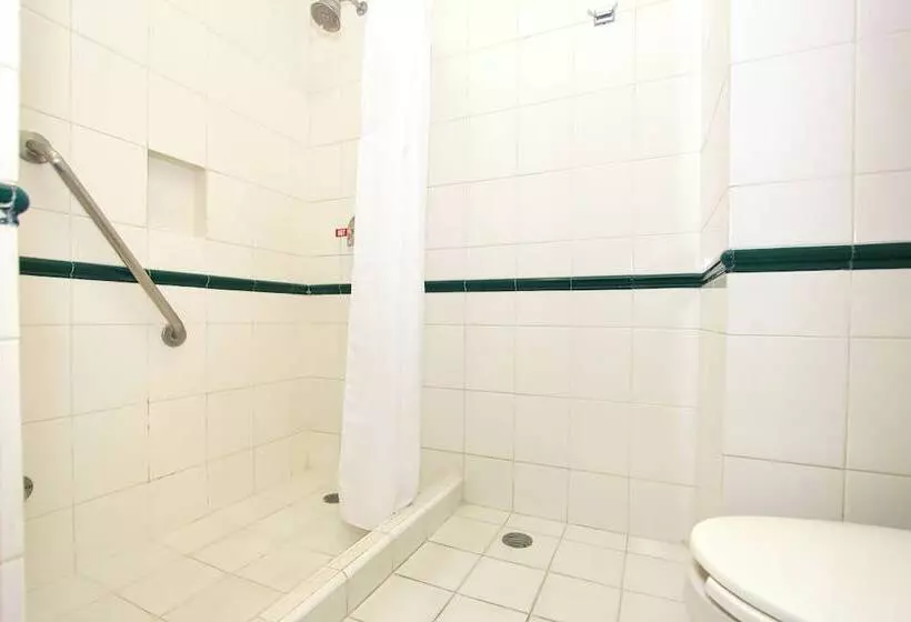 اتاق استاندارد با 2 تخت دوبل, Holiday Inn Leon Convention Center, An Ihg