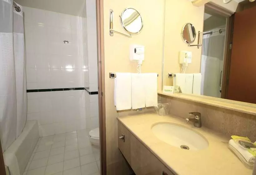 اتاق استاندارد با 2 تخت دوبل, Holiday Inn Leon Convention Center, An Ihg