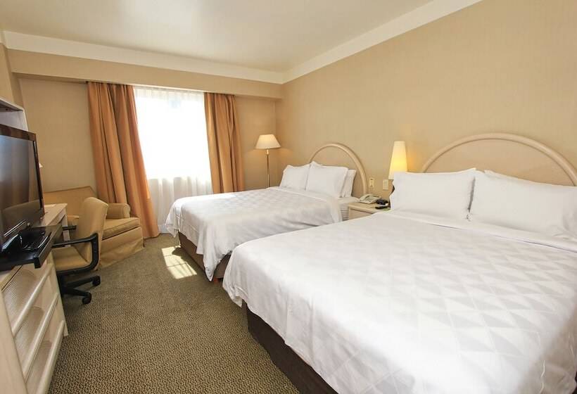２ダブルベッドのスタンダードルーム, Holiday Inn Leon Convention Center, An Ihg