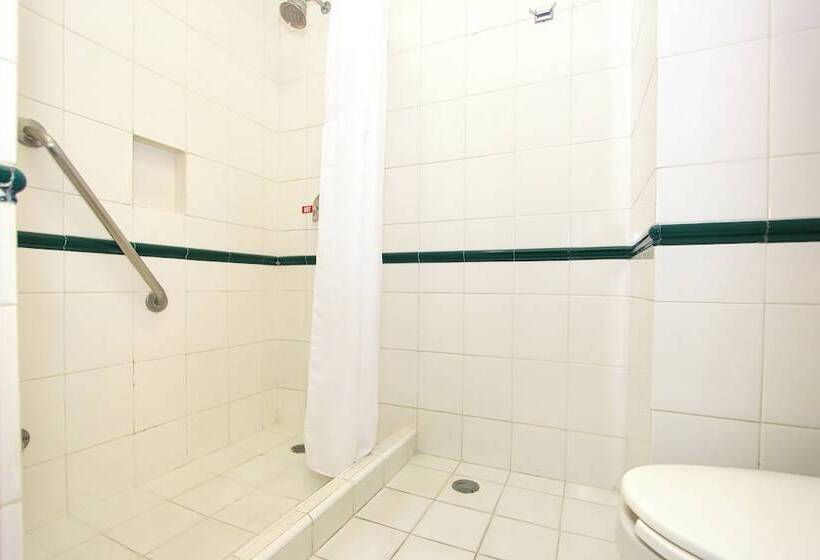 스탠다드 룸, Holiday Inn Leon Convention Center, An Ihg