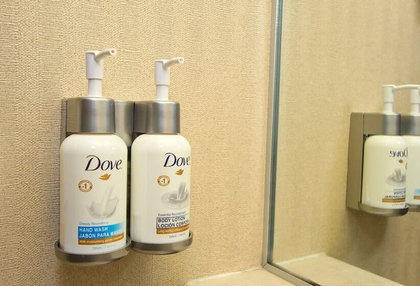 스탠다드 룸, Holiday Inn Leon Convention Center, An Ihg