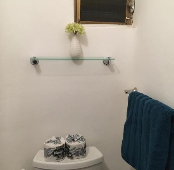 エコノミールーム, Los Tules