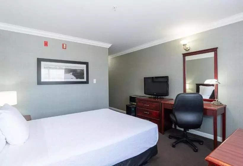 اتاق استاندارد, Sandman Hotel Red Deer
