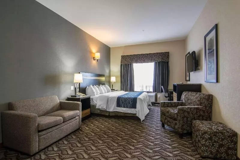 キングサイドベッドのスタンダードワンルーム, Springhill Suites Savannah Airport