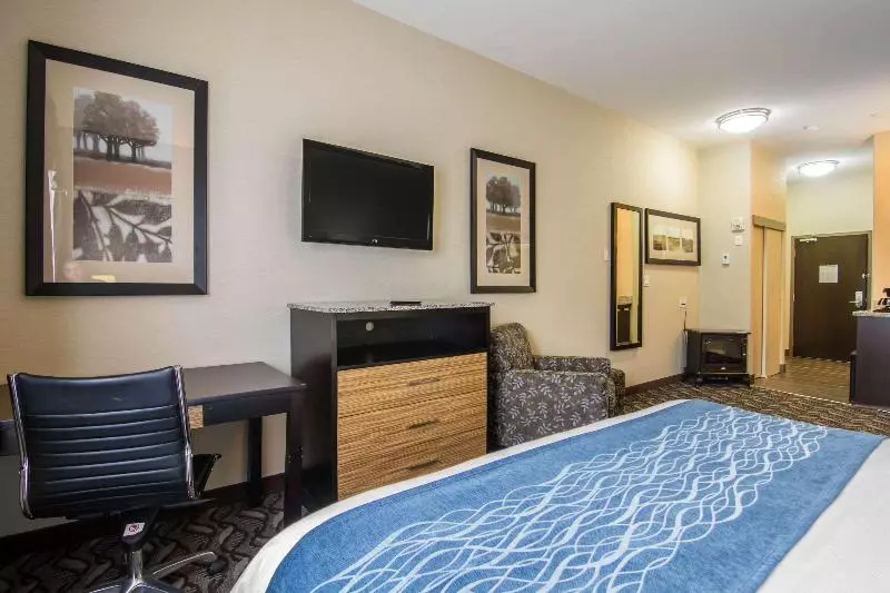 キングサイドベッドのスタンダードワンルーム, Springhill Suites Savannah Airport