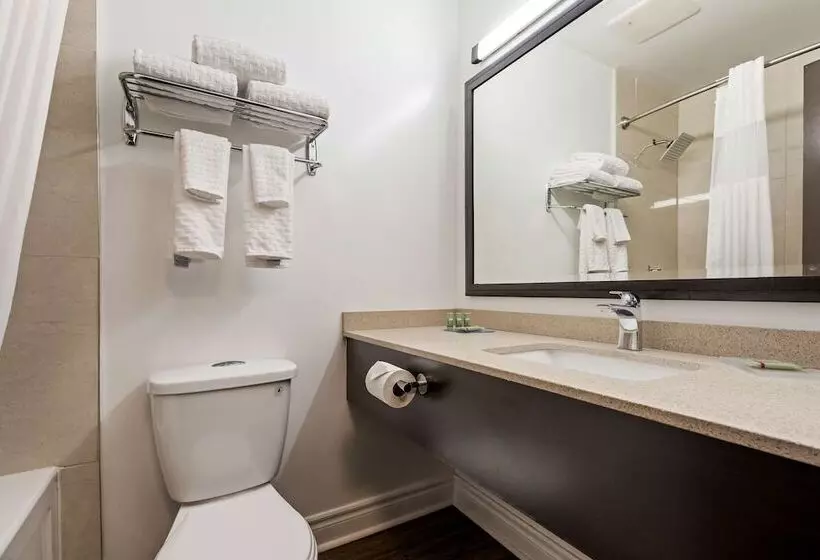 ２ダブルベッドのスタンダードルーム, Surestay Hotel By Best Western Kemptville