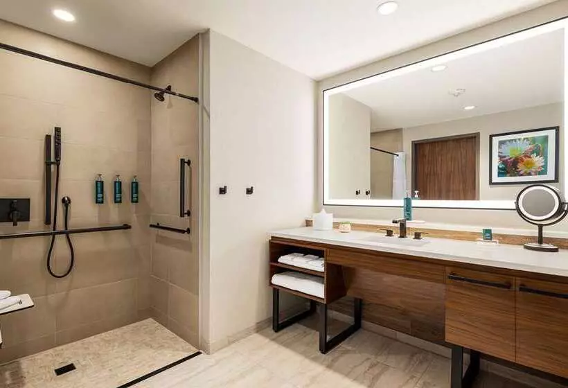اتاق استاندارد, Waldorf Astoria Monarch Beach Resort & Club