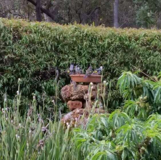 シャレー1寝室, Woody Grange Chalets