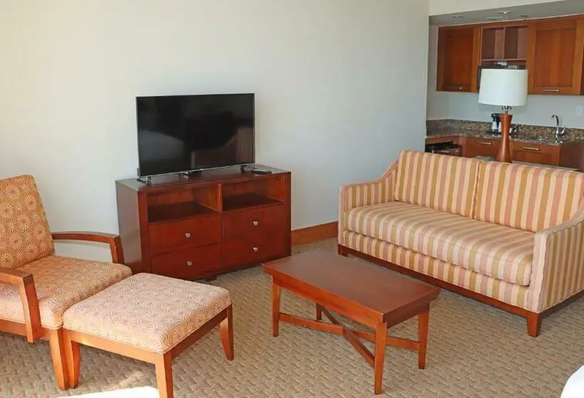استودیوی استاندارد با چشم‌انداز دریا, Costa Bahia Hotel Paseo Caribe