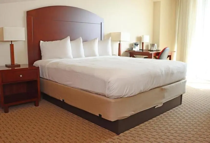 استودیوی لوکس, Costa Bahia Hotel Paseo Caribe