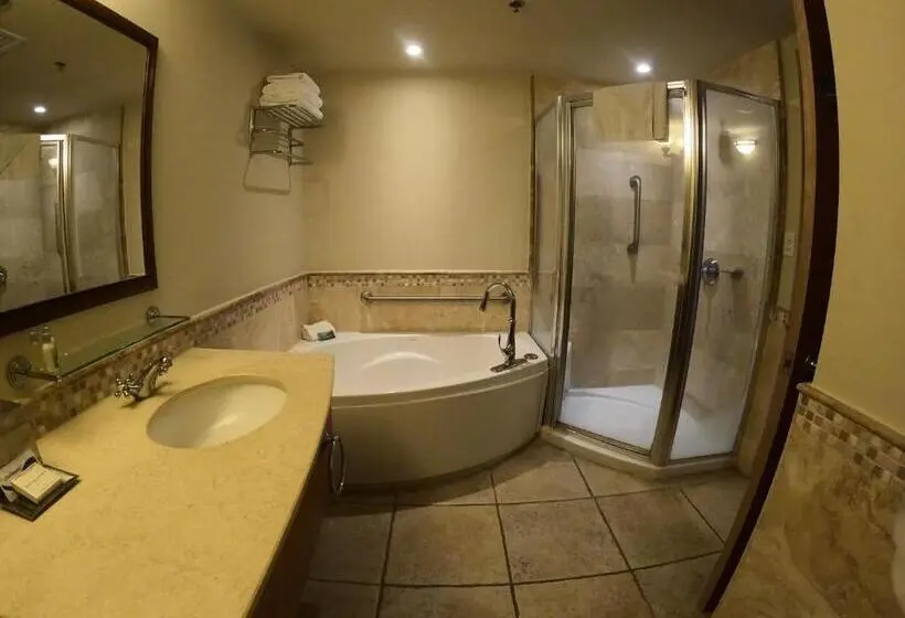 استودیوی سوپریور, Costa Bahia Hotel Paseo Caribe