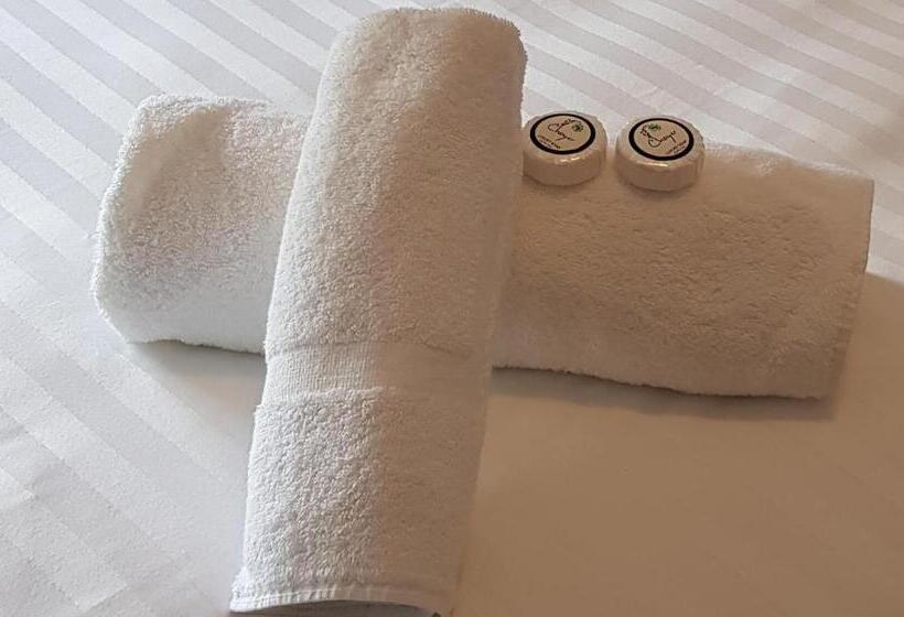 غرفة قياسية فردية حمام مشترك, Duke Of Wellington