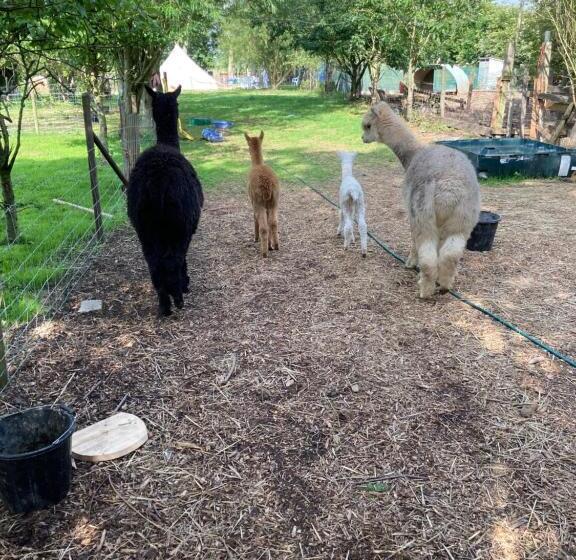 غرفة قياسية حمام مشترك, Willow Barn